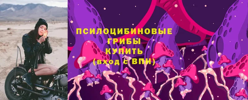 Псилоцибиновые грибы Magic Shrooms  Сертолово 